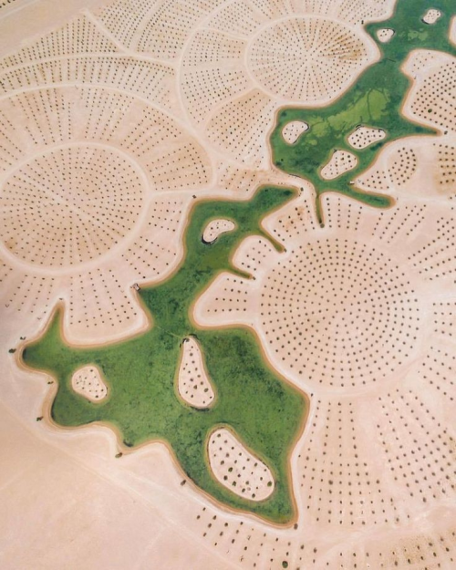 Precision Farming Tool