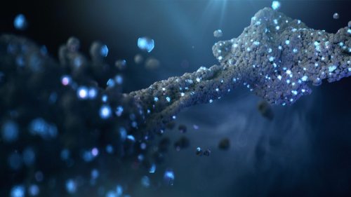 What is Carbon Offsetting?